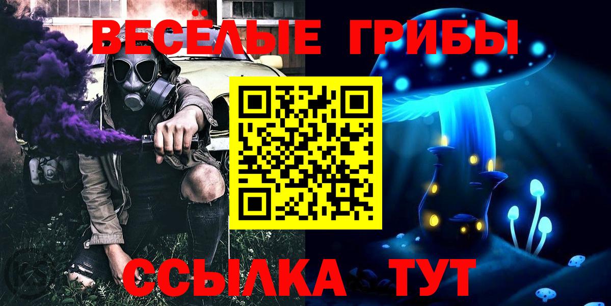Прохладный  Псилоцибиновые грибы прущие грибы  Вход с VPN 