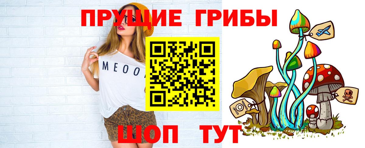 Псилоцибиновые грибы GOLDEN TEACHER Прохладный